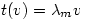 t(v)=\lambda_m v